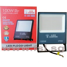 100W LED FLOOD LIGHT