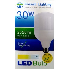 30W MLS LED T BULD