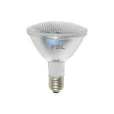 7W FSL PAR LAMP