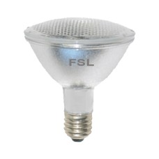 13W FSL PAR LAMP