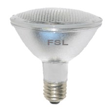 17W FSL PAR LAMP