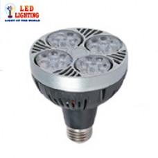 35W FSL PAR LAMP